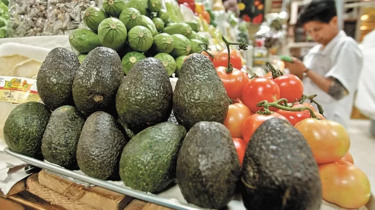 Japón presenta oportunidades de negocio a Jalisco
