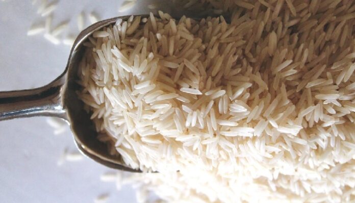 arroz