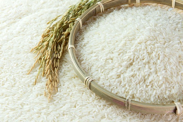 55911823308722closeupimageofpaddyandricegrainstockphoto