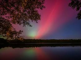 images - 2024-10-11T124331.724