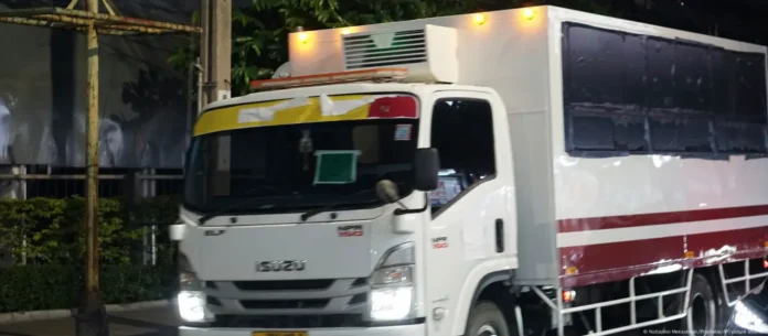 71778982_1005