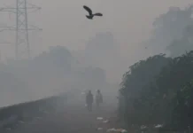 Niebla tóxica asfixia a la India