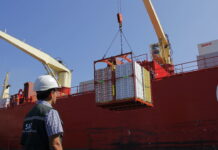 Chile y Japón inician marcha blanca para implementar certificación fitosanitaria electrónica