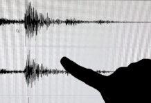 Un terremoto de magnitud 4,9 sacude el este de Japón y se deja notar con fuerza en Tokio