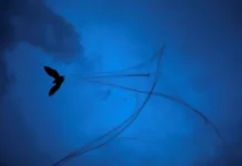 India informa de dos infecciones por el virus Nipah mientras Tailandia y Malasia refuerzan controles