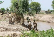 Pakistán e Indonesia debaten el fortalecimiento de la cooperación en materia de defensa