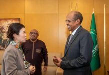 Unión Africana y Japón abordaron temas de interés común