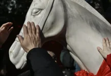Signo Caballo de Fuego marca el Año Nuevo Lunar chino