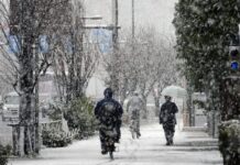 Suben a 35 los muertos por la nieve en Japón, con riesgo de avalanchas por deshielo