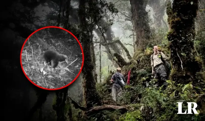 654fcb514e19f96129033180