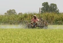 Tailandia pide ayuda a China para garantizar flujo de fertilizantes en medio de la guerra
