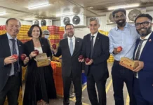 Chile más cerca de lograr el acuerdo comercial con India
