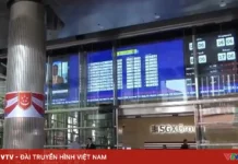 Las acciones de Singapur alcanzaron su nivel más alto en 19 años.