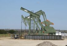 Malasia busca nuevas fuentes de combustible ante la crisis energética