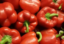 México abre el mercado japonés para el chile morrón tras 16 años de negociaciones