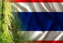 Tailandia endurece sus sanciones para la venta de cannabis legal sin receta médica