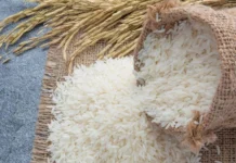 Tailandia impulsa sus exportaciones de arroz con nuevos mercados internacionales