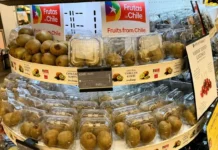 Frutas de Chile y el Comité del Kiwi inician campaña promocional 2026 en India