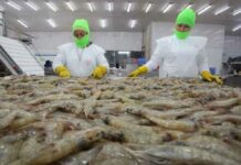 Empresas ecuatorianas identificaron en Japón un mercado estratégico