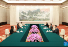 China apoya firmemente la causa de la ONU, afirma canciller chino