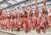 El cupo de Brasil en China se acerca al límite y abre una oportunidad para la carne argentina