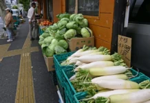 La inflación en Japón se desaceleró al 1,7 % en agosto