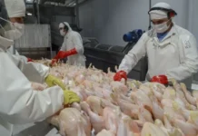 Colombia lleva su pollo a Japón y prepara un salto exportador hacia nuevos mercados
