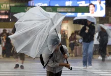 Japón declara la alerta máxima de nivel 5 por el tifón Dujuan: advierten por desastres inminentes