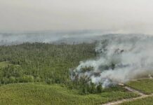 Malasia y Singapur se enfrentan a calidad de aire insalubre por incendios en Indonesia