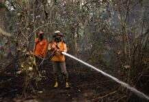 Indonesia estudia nuevas sanciones contra empresas involucradas en incendios forestales