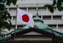 El gobierno de Japón se alinea con la FED y sube las tasas de interés para salvar al yen