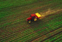 China refuerza la cadena de suministro de cereales para fortalecer la seguridad alimentaria entre 2026 y 2030