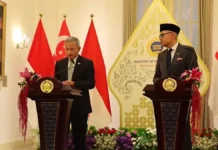 Indonesia y Singapur abordan en conjunto el problema de la contaminación por incendios