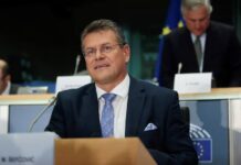 China y UE acercan posturas sobre híbridos y tierras raras durante visita de comisario UE