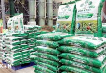 Tailandia está aumentando la producción de potasio para reducir su dependencia de los fertilizantes importados.