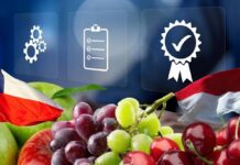 Indonesia reconoce a Chile como país libre de mosca de la fruta y agiliza exportaciones de fruta fresca